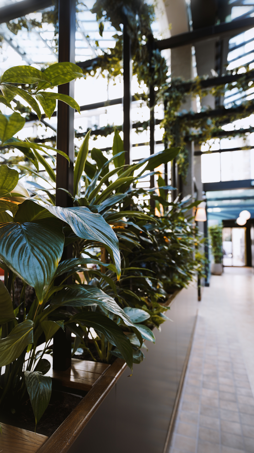 _A7R0858.00_01_07_11.Still014